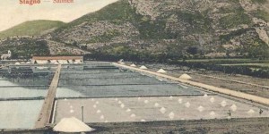 Dubrovniška trgovina s soljo v srednjem veku