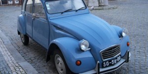citroen 2cv (Medium)