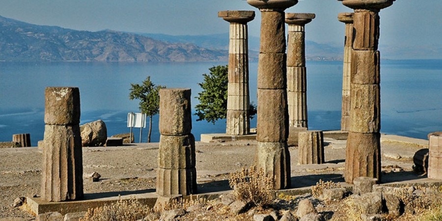 5th International Summer School: Cultures, migrations, borders