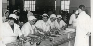 Ribja predelovalna industrija v Izoli, 4. del (obdobje po drugi svetovni vojni)