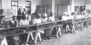 Ribja predelovalna industrija v Izoli, 1. del (od začetkov do prve svetovne vojne)