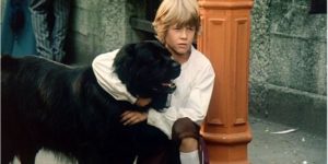 40 let filma “Sreča na vrvici”