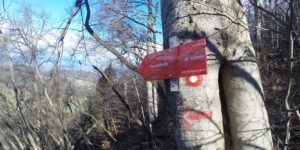 »Pot svobode« na Šmarnogorski Grmadi