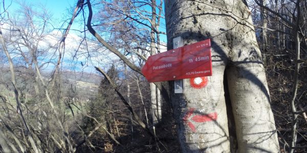 »Pot svobode« na Šmarnogorski Grmadi